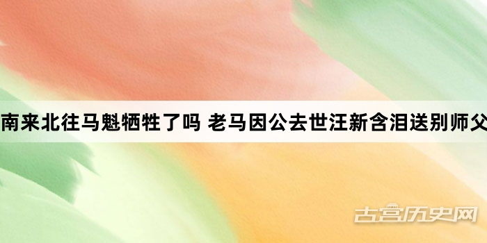 南来北往马魁牺牲了吗 老马因公去世汪新含泪送别师父