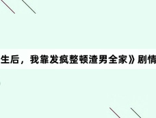 《重生后,我靠发疯整顿渣男全家》剧情介绍