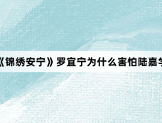 《锦绣安宁》罗宜宁为什么害怕陆嘉学
