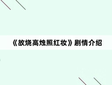 《故烧高烛照红妆》剧情介绍