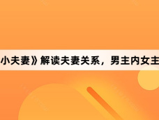 《小夫妻》解读夫妻关系，男主内女主外
