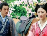 卫青娶平阳公主的原因