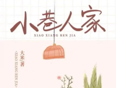 《小巷人家》原著小说