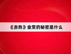 《赤热》金雯的秘密是什么
