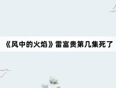 《风中的火焰》雷富贵第几集死了