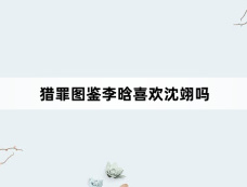 猎罪图鉴李晗喜欢沈翊吗