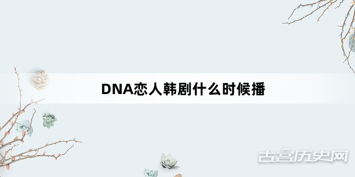 DNA恋人韩剧什么时候播