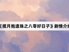 《揽月抱遗珠之八零好日子》剧情介绍