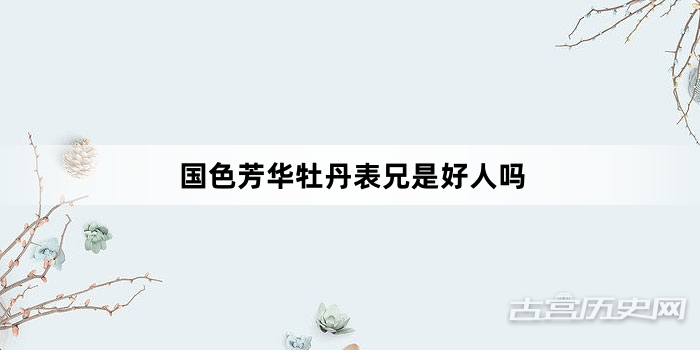 国色芳华牡丹表兄是好人吗