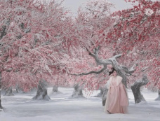 《长相思2》第12集分集剧情介绍