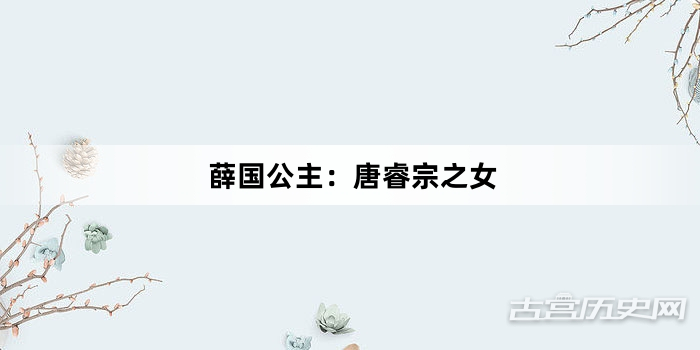 薛国公主：唐睿宗之女