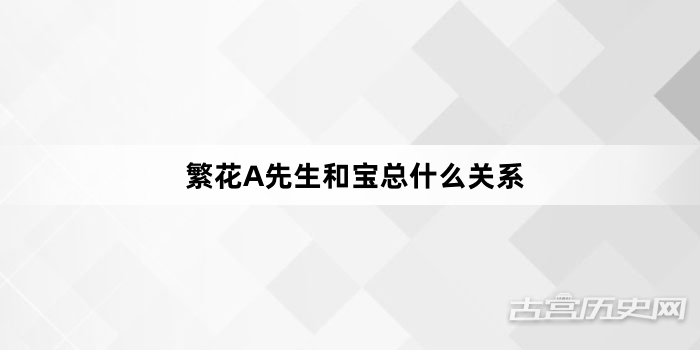 繁花A先生和宝总什么关系