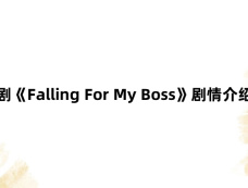 韩剧《Falling For My Boss》剧情介绍