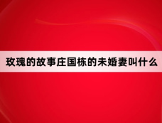 玫瑰的故事庄国栋的未婚妻叫什么