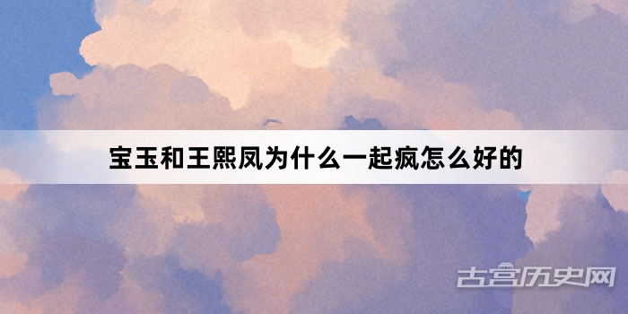 宝玉和王熙凤为什么一起疯怎么好的