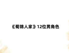 《蜀锦人家》12位男角色