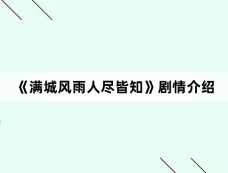 《满城风雨人尽皆知》剧情介绍