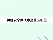 锦绣安宁罗成章是什么职位