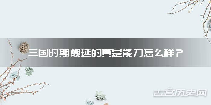 三国时期魏延的真是能力怎么样？