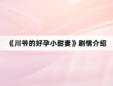 《川爷的好孕小甜妻》剧情介绍