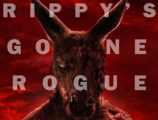 电影《红The Red》剧情介绍