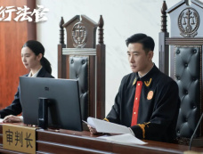 《执行法官》全集剧情分集介绍