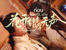 花开有时颓靡无声电视剧是双男主吗