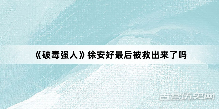 《破毒强人》徐安好最后被救出来了吗