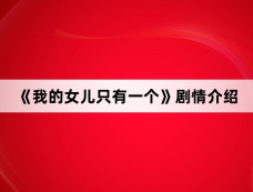 《我的女儿只有一个》剧情介绍