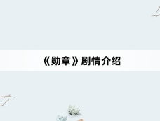 《勋章》剧情介绍