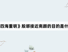 《四海重明》殷琊接近南颜的目的是什么