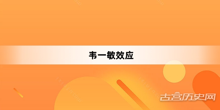“韦一敏效应”网络梗词解释