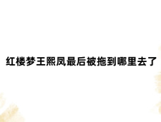 红楼梦王熙凤最后被拖到哪里去了