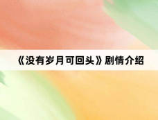 《没有岁月可回头》剧情介绍