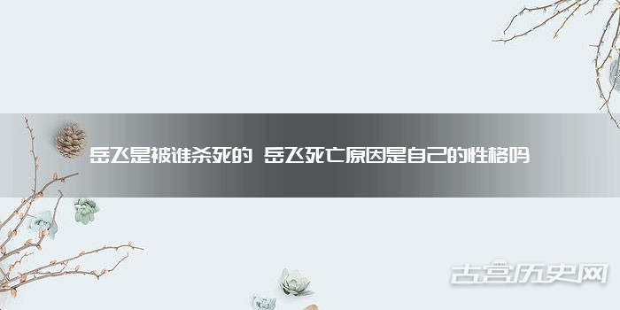 岳飞是被谁杀死的 岳飞死亡原因是自己的性格吗