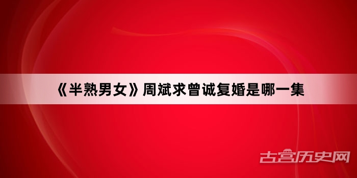 《半熟男女》周斌求曾诚复婚是哪一集