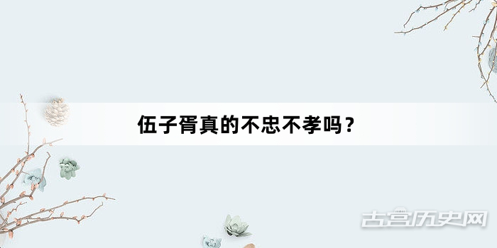 伍子胥真的不忠不孝吗？