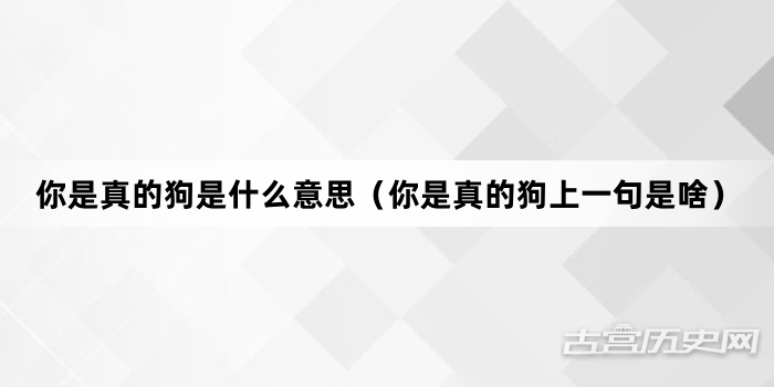 “你是真的狗是什么意思（你是真的狗上一句是啥）”网络梗词解释