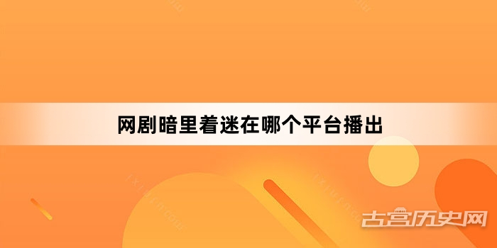 网剧暗里着迷在哪个平台播出