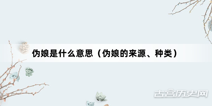 “伪娘是什么意思（伪娘的来源、种类）”网络梗词解释