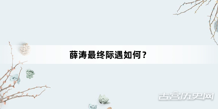 薛涛最终际遇如何？