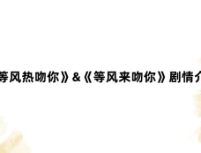 《等风热吻你》&《等风来吻你》剧情介绍