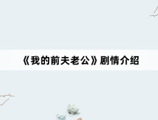 《我的前夫老公》剧情介绍