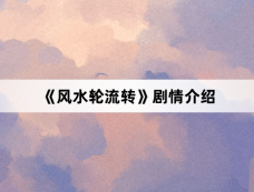 《风水轮流转》剧情介绍