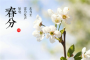 二十四节气中的春分意味着什么