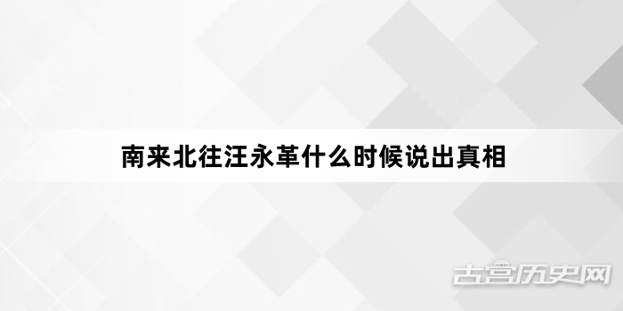 南来北往汪永革什么时候说出真相