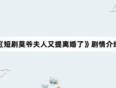 《短剧莫爷夫人又提离婚了》剧情介绍