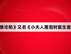 《入夜深情沦陷》又名《小夫人落泪时医生宠疯了》剧情介绍