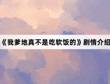 《我爹地真不是吃软饭的》剧情介绍