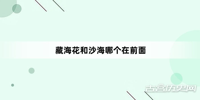 藏海花和沙海哪个在前面